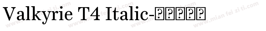 Valkyrie T4 Italic字体转换